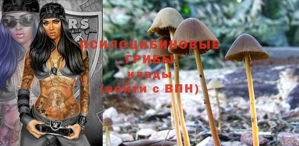 дурь Алзамай