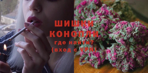 дурь Алзамай