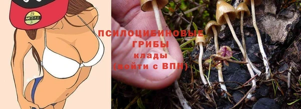 эйфоретик Алексин