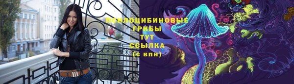 дурь Алзамай