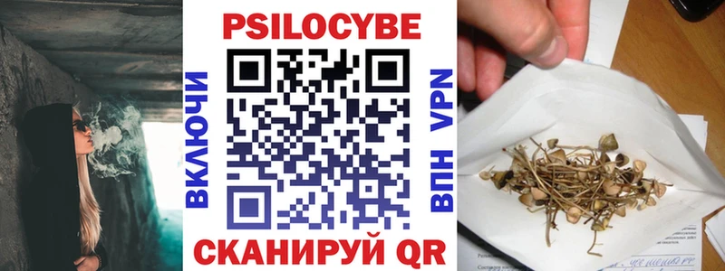 Псилоцибиновые грибы мицелий Сычёвка