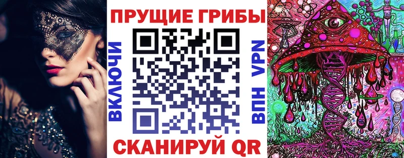 хочу наркоту  Сычёвка  Галлюциногенные грибы Cubensis 